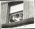 caption for hopkins 3 in window 0001